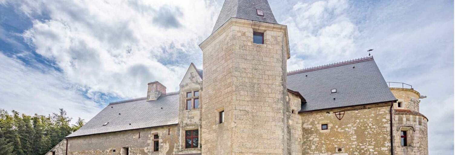 Maison 10 Pièces 667 m² à vendre à Vou (37240)