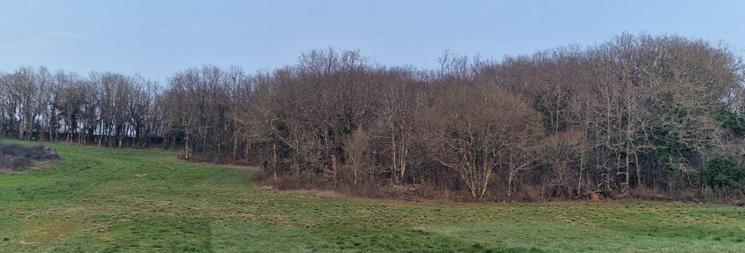 Terrain  6880 m² à vendre à La Dornac (24120)