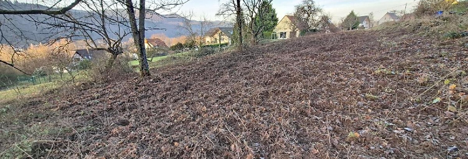 Terrain  1904 m² à vendre à Russ (67130)