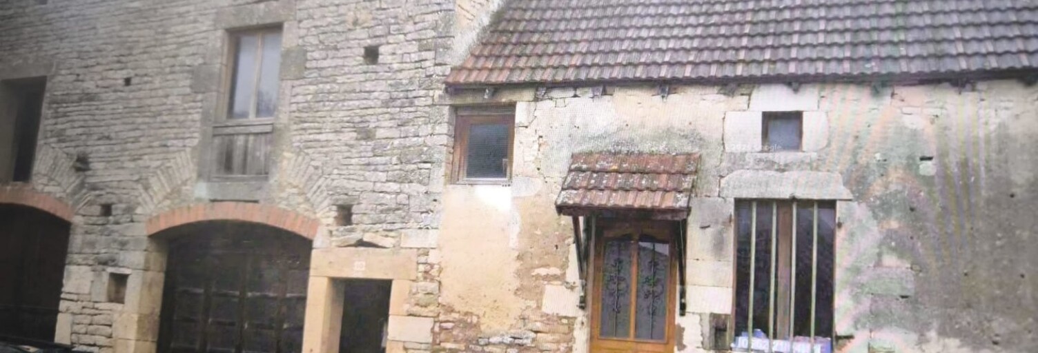 Maison 10 Pièces 485 m² à vendre à Orret (21450)