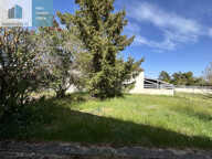Maison familiale avec potentiel professionnel 295 m2 + terrain Sanssac l'Eglise — photo 3