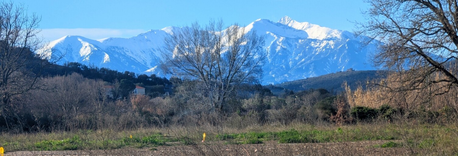 Terrain  893 m² à vendre à Estagel (66310)