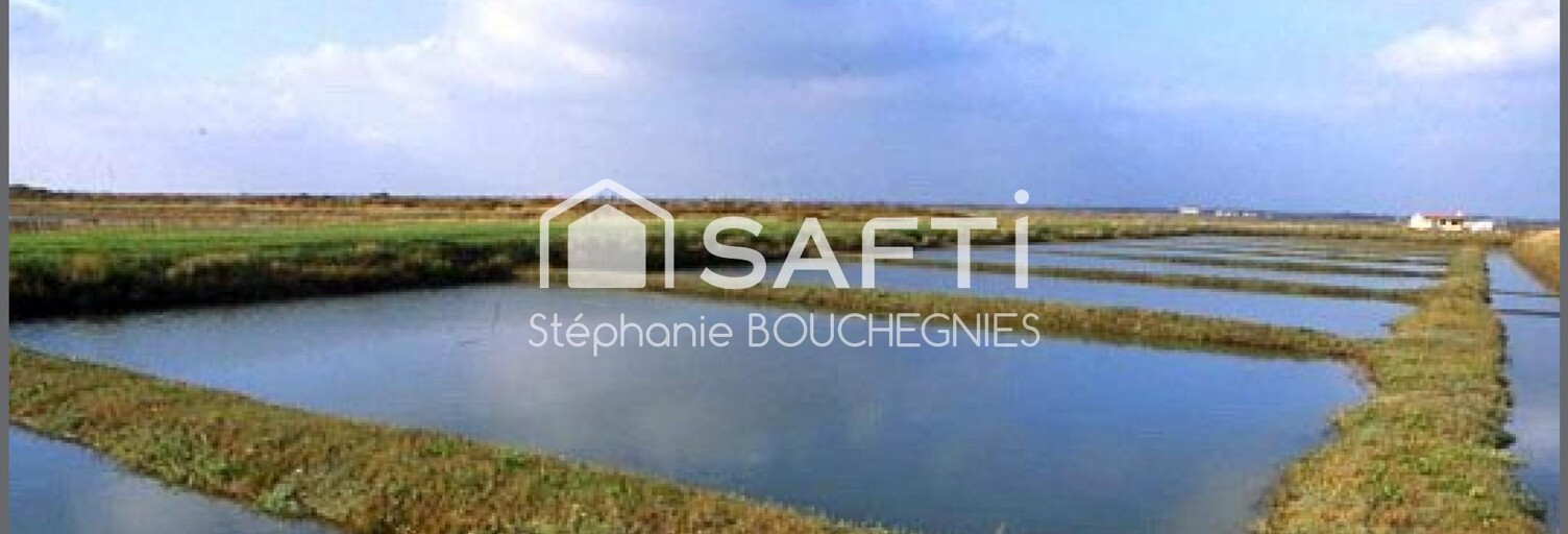 Commerce 5 Pièces 460 m² à vendre à Marennes-Hiers-Brouage (17320)