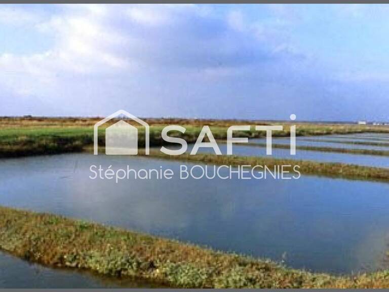 DOMAINE MARITIME RARE  SITE CONCHYLICOLE & AQUACOLE  ÎLE D'OLÉRON — photo 1