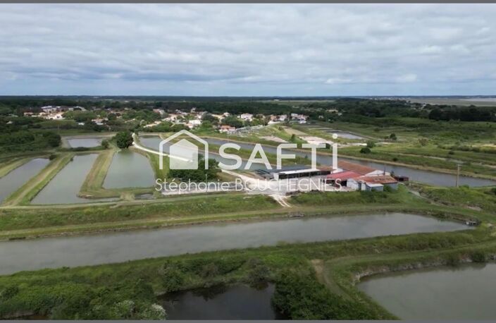 DOMAINE MARITIME RARE  SITE CONCHYLICOLE & AQUACOLE  ÎLE D'OLÉRON — photo 2
