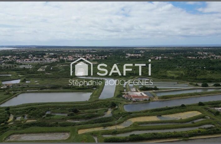 DOMAINE MARITIME RARE  SITE CONCHYLICOLE & AQUACOLE  ÎLE D'OLÉRON — photo 3