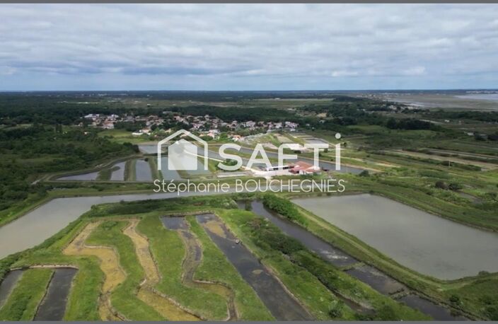 DOMAINE MARITIME RARE  SITE CONCHYLICOLE & AQUACOLE  ÎLE D'OLÉRON — photo 4
