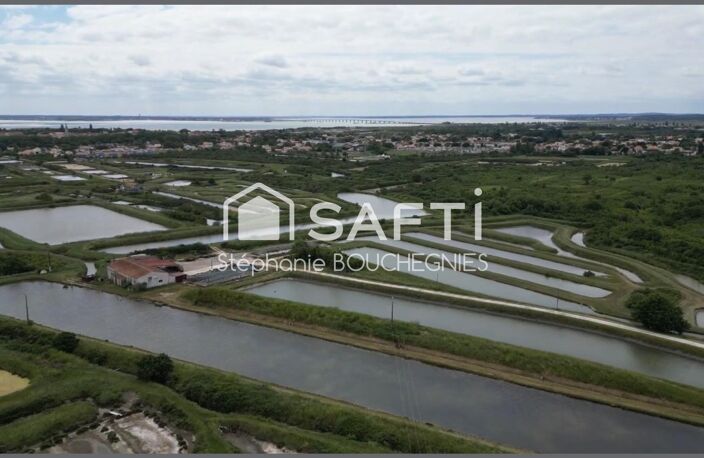 DOMAINE MARITIME RARE  SITE CONCHYLICOLE & AQUACOLE  ÎLE D'OLÉRON — photo 5