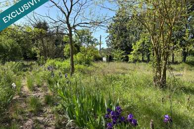 Terrain  95000 €