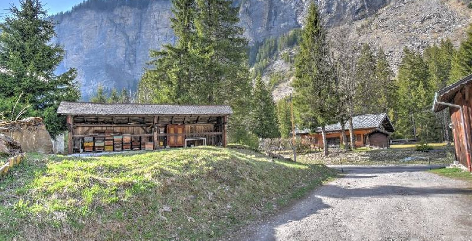 Vente terrain  450 m² Morzine (74110) — photo 1