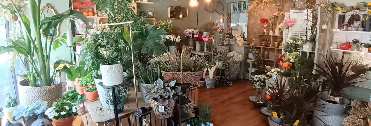 Commerce  50 m² à vendre à Lorient (56100)