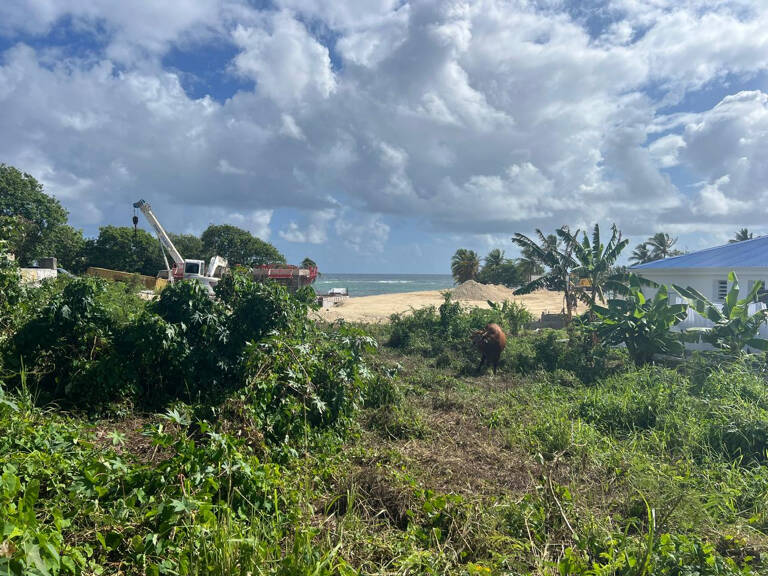 RARE   Terrain d'exception 569 m2   Accès plage - étude de s — photo 1
