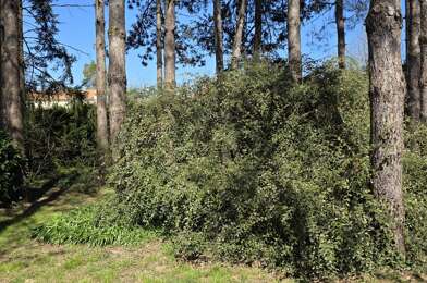 Terrain  116500 €
