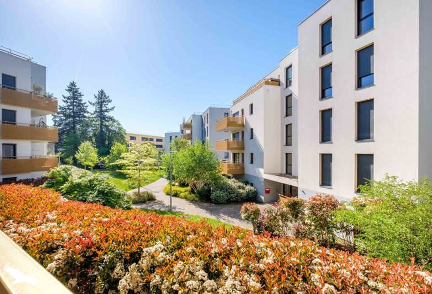 Appartement de 2 pièces principales — photo 1