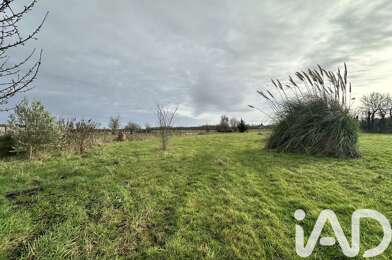 Terrain  60000 €