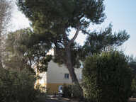 AVIGNON : Quartier CROISIÈRE — photo 3