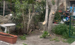 Appartement 1 Pièce 23 m² à louer à Avignon (84000)