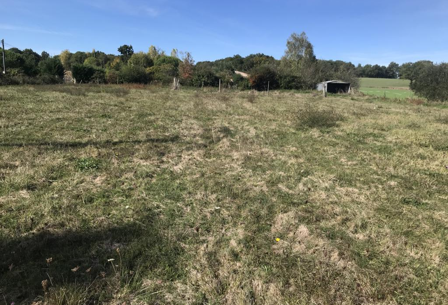 5 MN ISLE EN DODON — photo 1