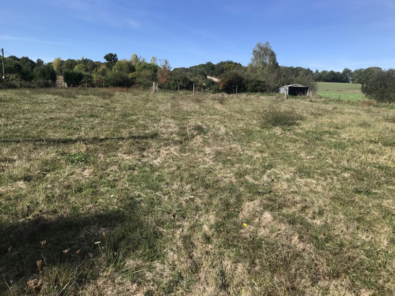 5 MN ISLE EN DODON — photo 1