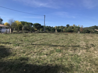 5 MN ISLE EN DODON — photo 2