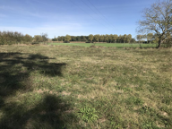 5 MN ISLE EN DODON — photo 3