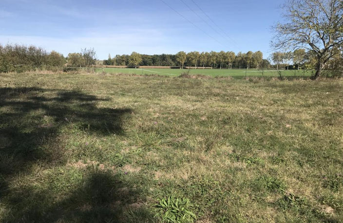 5 MN ISLE EN DODON — photo 3