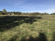 5 MN ISLE EN DODON — photo 4
