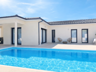 Maison contemporaine 2024 - 137 m2 plain-pied avec piscine - — photo 3