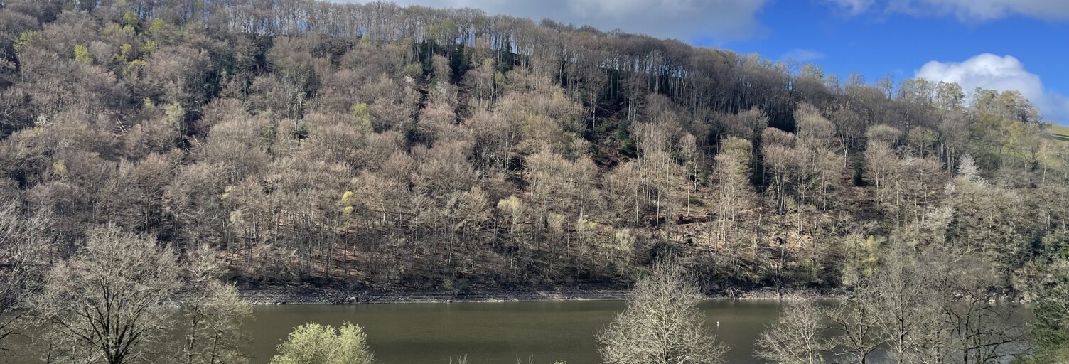 Terrain  1400 m² à vendre à Le Vibal (12290)
