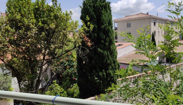 Appartement 1 pièces  à louer Marseille 5eme 13005