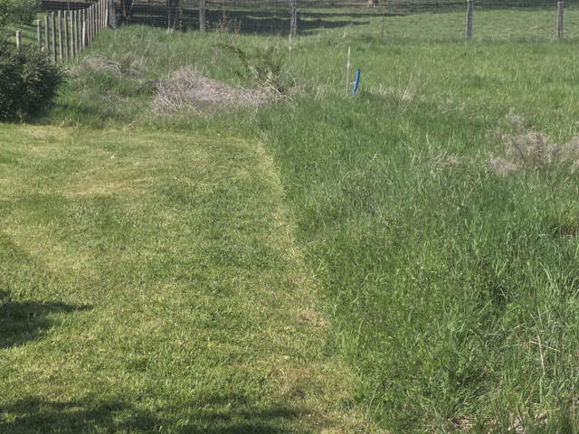terrain à bâtir — photo du bien