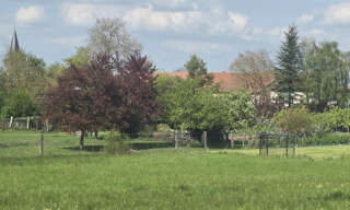 Photo N° 2