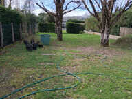 MAISON DE PLAIN-PIED ET JARDIN DE 700M2 — photo 2