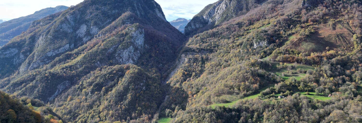Photo N° 2