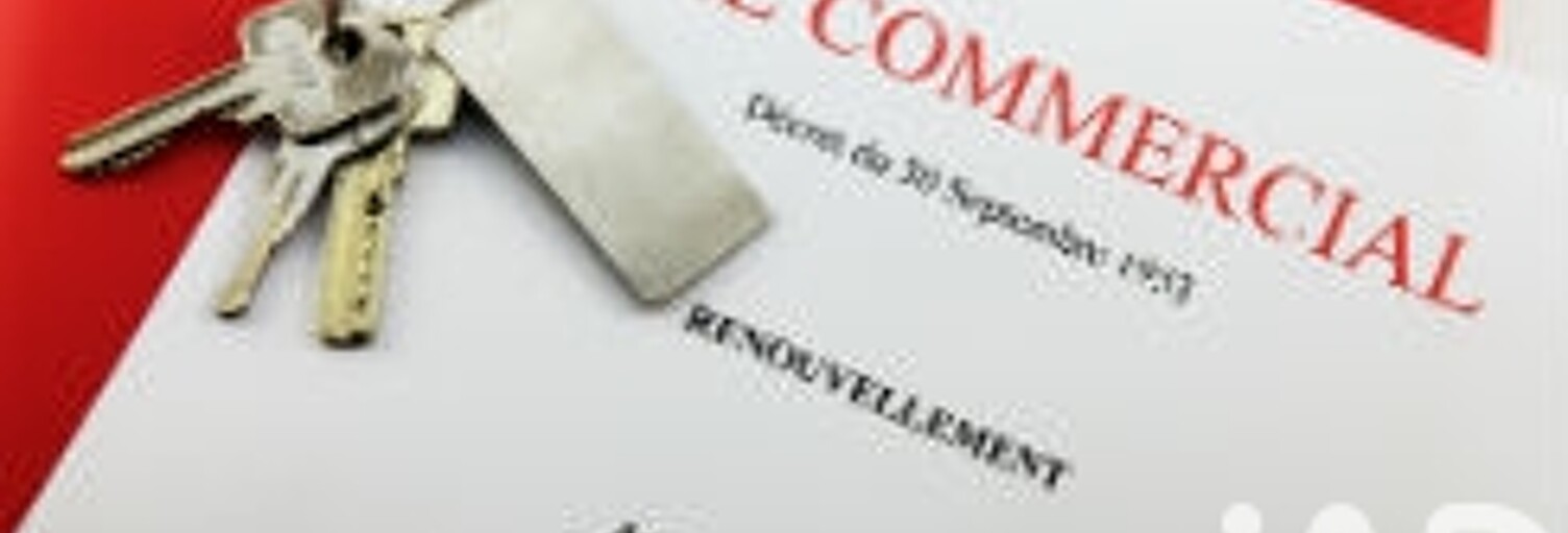 Commerce  39 m² à vendre à Fontainebleau (77300)