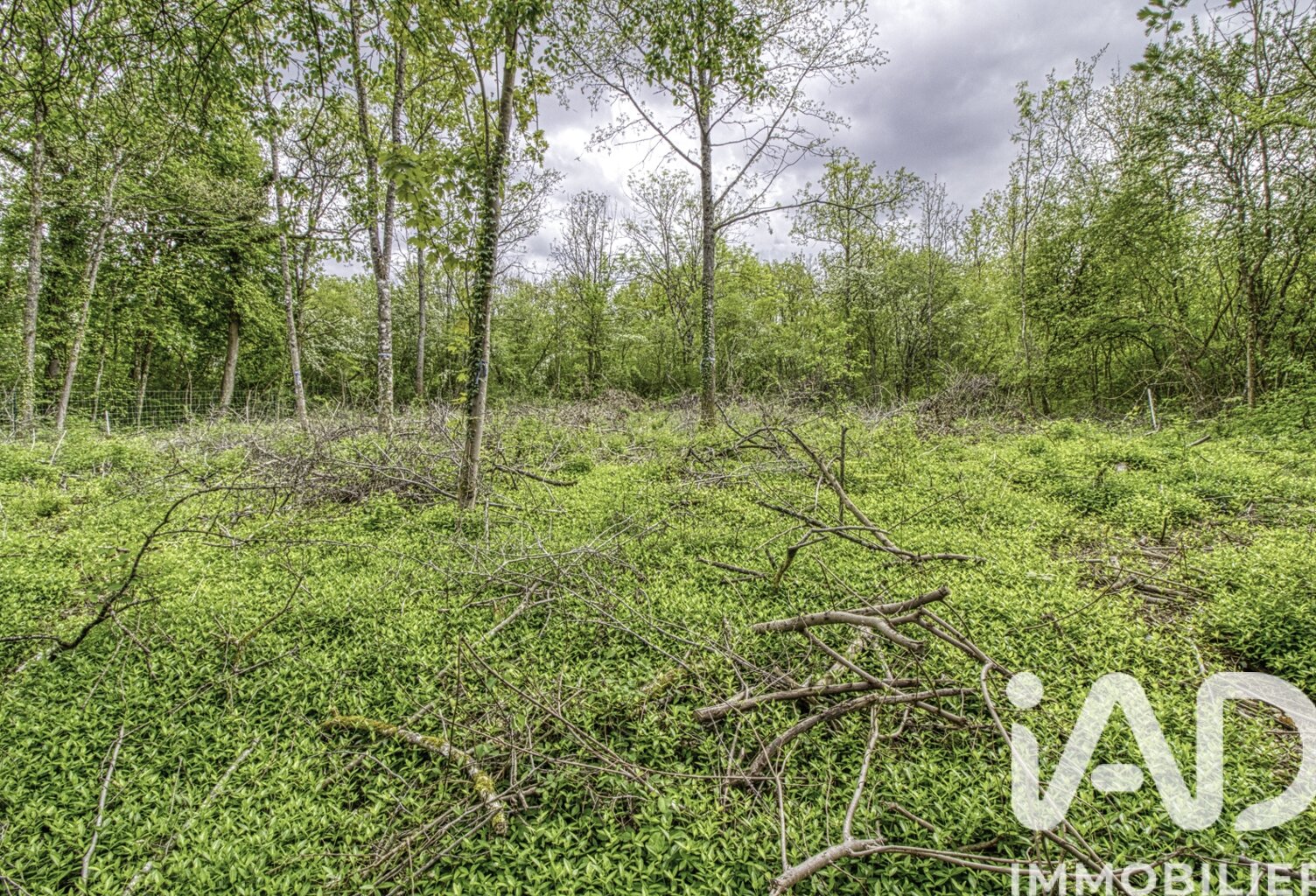 Vente Terrain à bâtir 2 024 m&sup2; — photo 1