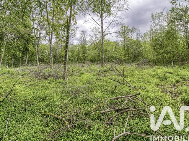 Vente Terrain à bâtir 2 024 m&sup2; — photo du bien