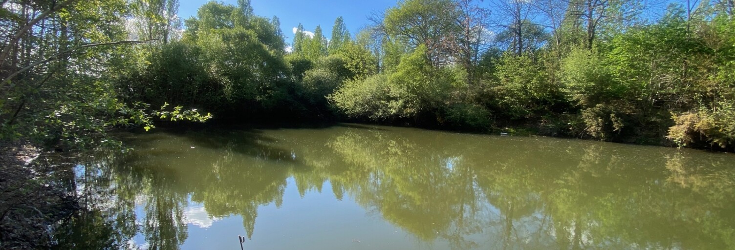 Terrain  10390 m² à vendre à Beaupréau-en-Mauges (49600)