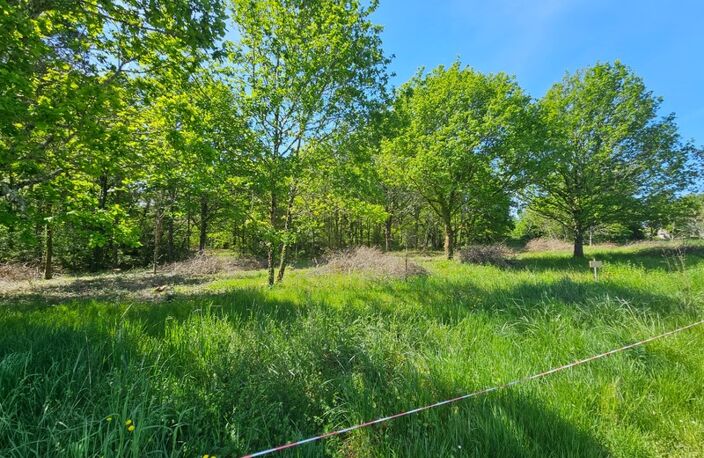 Terrain 2507 m² — photo 2