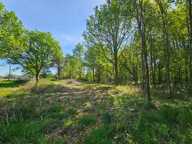 Terrain 2507 m² — photo 3
