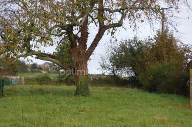 Terrain  55000 €