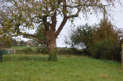 Terrain  55000 €