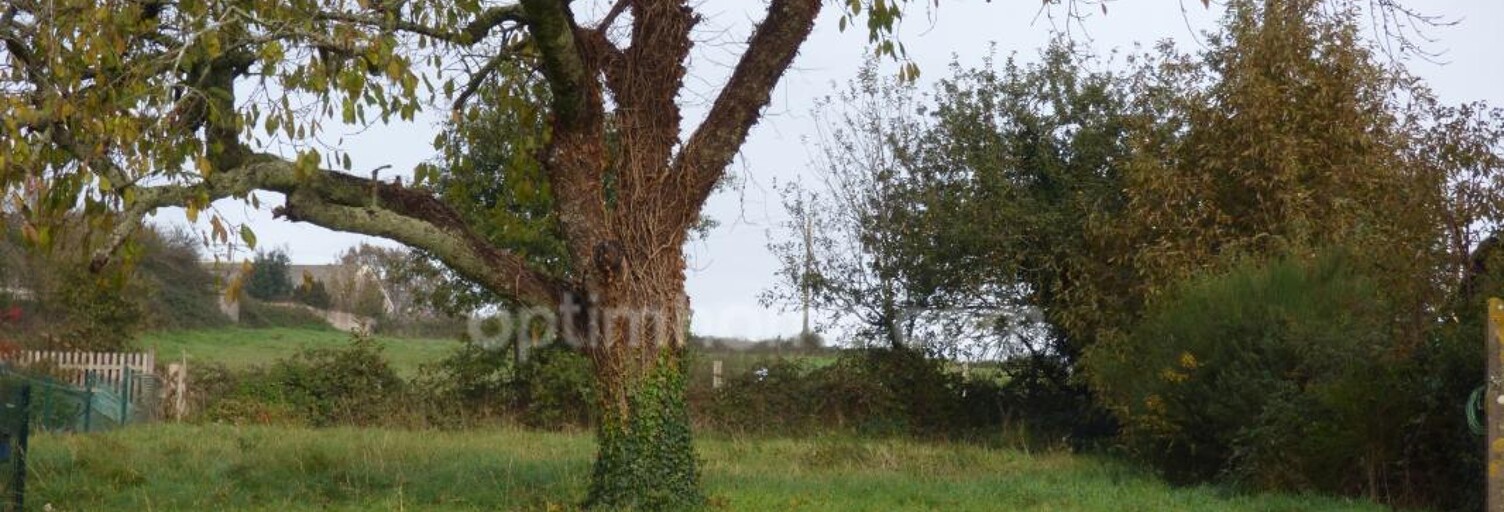 Terrain  1238 m² à vendre à Fégréac (44460)