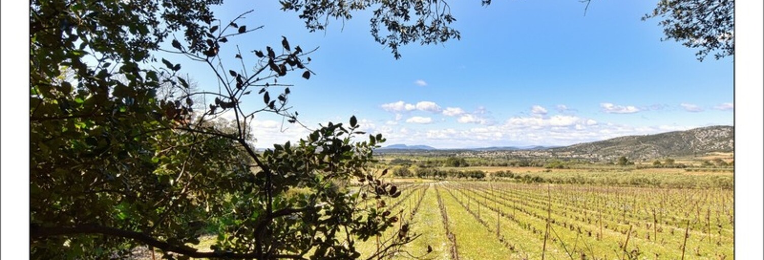 Maison 5 Pièces 114 m² à vendre à Aniane (34150)