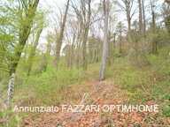 Maison individuelle 230 m² habitables (5 chambres) – Terrain 6 341 m² – Environnement nature – Dun-sur-Meuse — photo 3