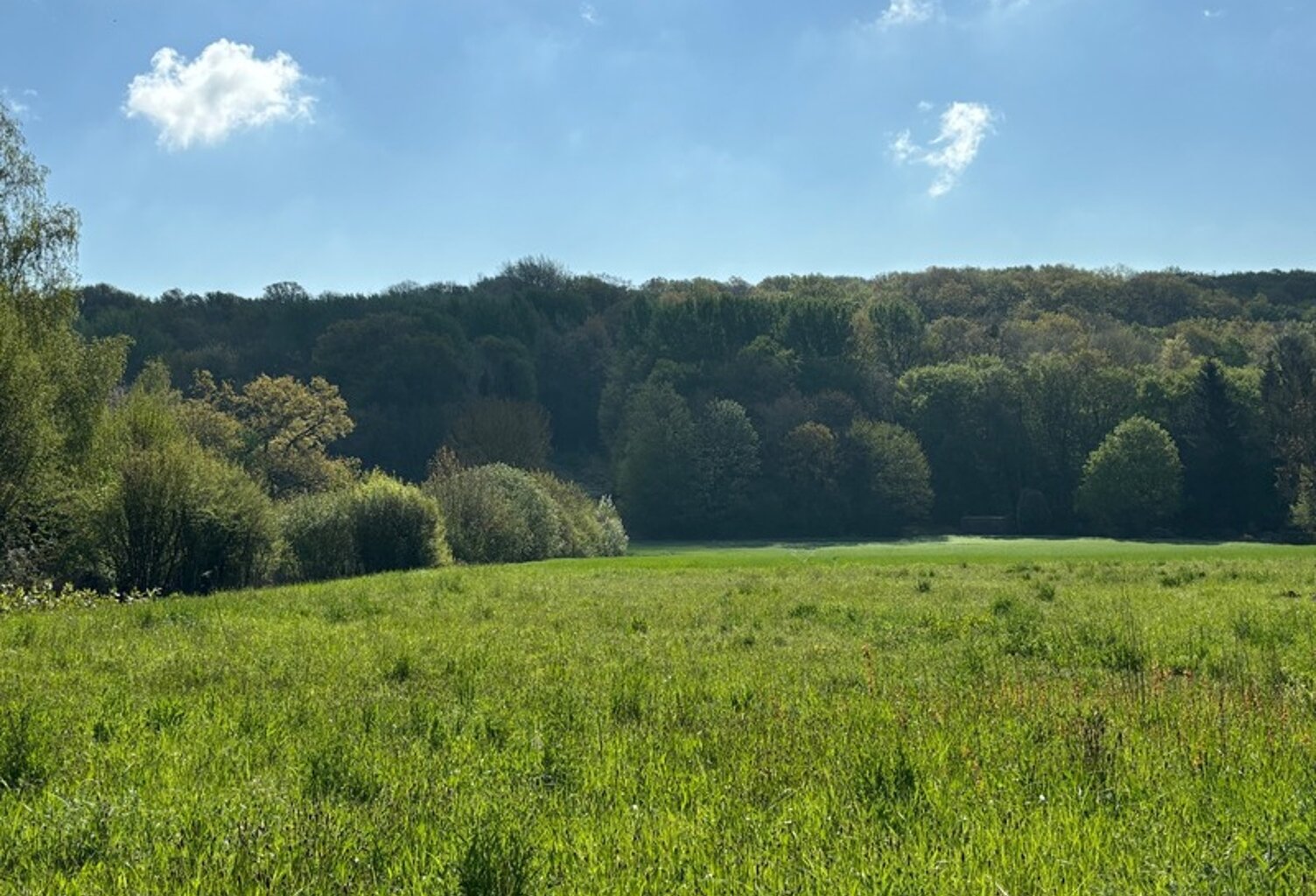 Terrain à vendre de 1 140,00 m² MONTREUIL AUX LIONS (02) — photo 1