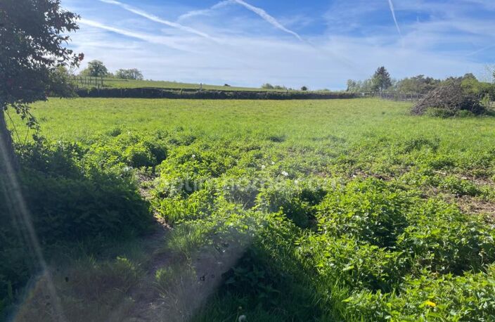 Maison-2 granges et 5000m2 de terrain — photo 2