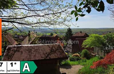 Maison Alsacienne 230m² 7 pièces OBERBRONN (67) — photo du bien