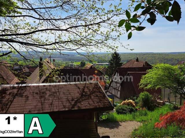 Maison Alsacienne 230m² 7 pièces OBERBRONN (67) — photo du bien