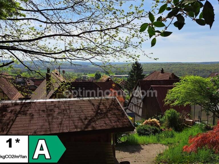 Maison Alsacienne 230m² 7 pièces OBERBRONN (67) — photo 1